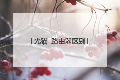 光猫 路由器区别