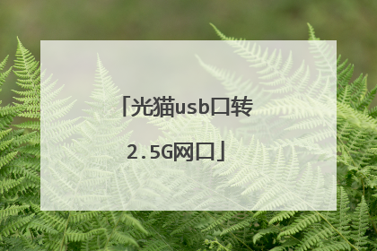 光猫usb口转2.5G网口