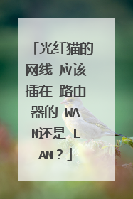 光纤猫的网线 应该插在 路由器的 WAN还是 LAN？