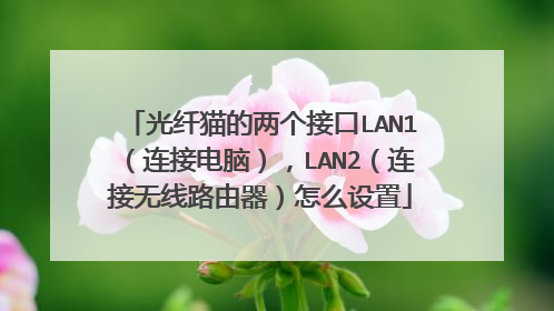 光纤猫的两个接口LAN1（连接电脑），LAN2（连接无线路由器）怎么设置