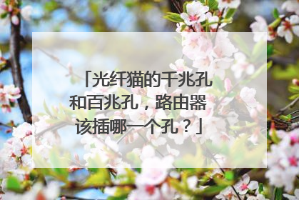 光纤猫的千兆孔和百兆孔,路由器该插哪一个孔?