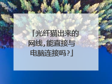 光纤猫出来的网线,能直接与电脑连接吗?