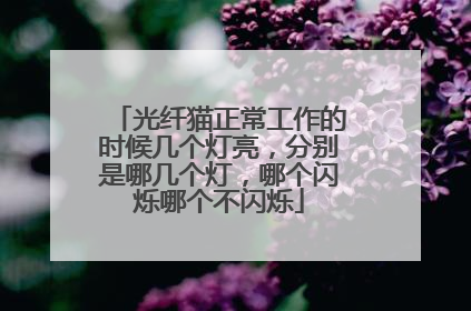 光纤猫正常工作的时候几个灯亮，分别是哪几个灯，哪个闪烁哪个不闪烁