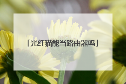 光纤猫能当路由器吗