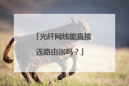 光纤网线能直接连路由器吗？