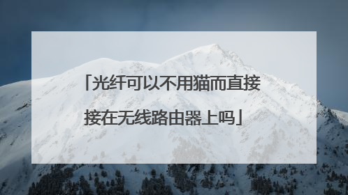 光纤可以不用猫而直接接在无线路由器上吗