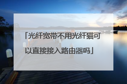 光纤宽带不用光纤猫可以直接接入路由器吗