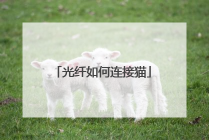 光纤如何连接猫