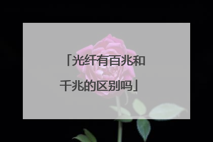 光纤有百兆和千兆的区别吗