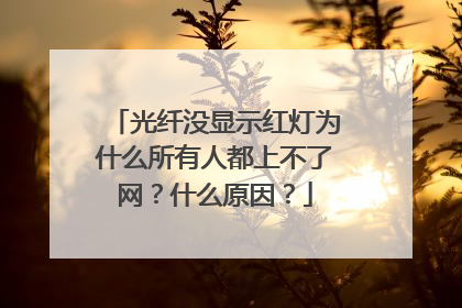 光纤没显示红灯为什么所有人都上不了网?什么原因?