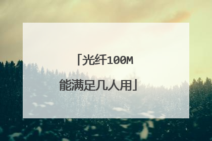 光纤100M能满足几人用