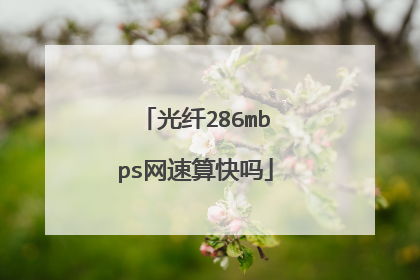 光纤286mbps网速算快吗
