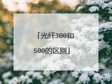 光纤300和500的区别