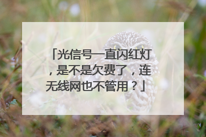 光信号一直闪红灯,是不是欠费了,连无线网也不管用?