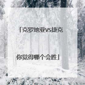 克罗地亚VS捷克你觉得哪个会胜