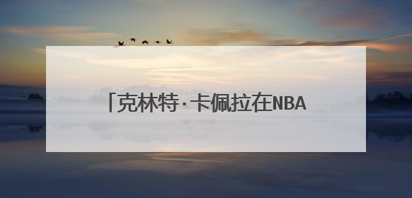 克林特·卡佩拉在NBA比赛中的表现你喜欢吗？