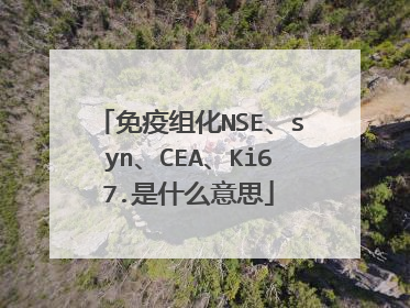 免疫组化NSE、syn、CEA、Ki67.是什么意思