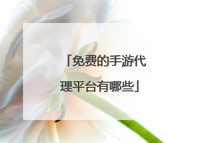 免费的手游代理平台有哪些