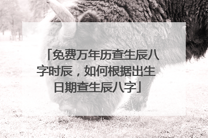 免费万年历查生辰八字时辰,如何根据出生日期查生辰八字