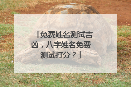 免费姓名测试吉凶,八字姓名免费测试打分?