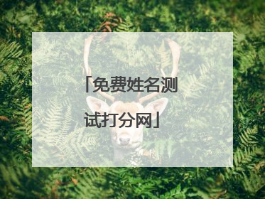 免费姓名测试打分网