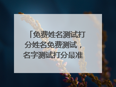 免费姓名测试打分姓名免费测试，名字测试打分最准确陈静涵