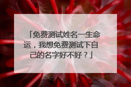 免费测试姓名一生命运,我想免费测试下自己的名字好不好?