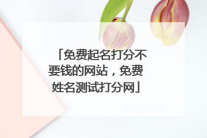 免费起名打分不要钱的网站，免费姓名测试打分网