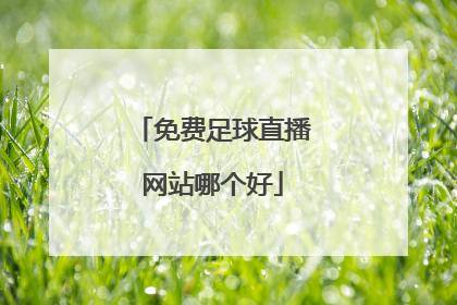 免费足球直播网站哪个好