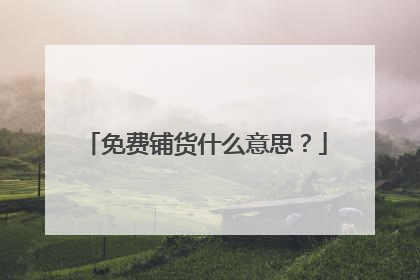 免费铺货什么意思？