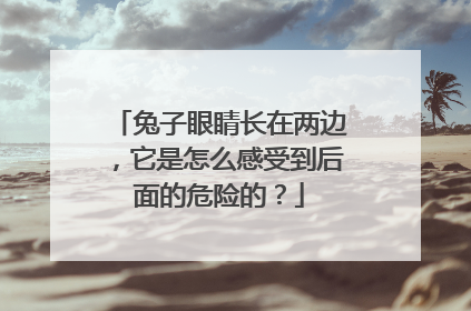 兔子眼睛长在两边，它是怎么感受到后面的危险的？