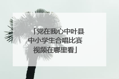 党在我心中叶县中小学生合唱比赛视频在哪里看