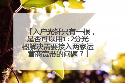 入户光钎只有一根,是否可以用1:2分光器解决需要接入两家运营商宽带的问题?