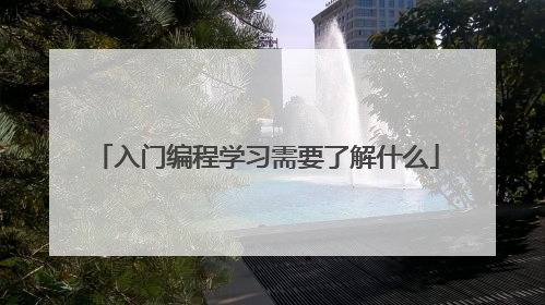 入门编程学习需要了解什么