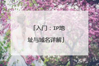 入门:IP地址与域名详解
