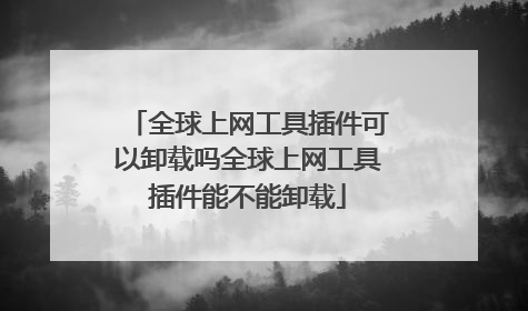 全球上网工具插件可以卸载吗全球上网工具插件能不能卸载
