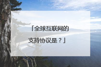 全球互联网的支持协议是?