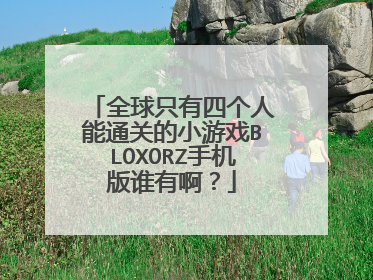 全球只有四个人能通关的小游戏BLOXORZ手机版谁有啊？