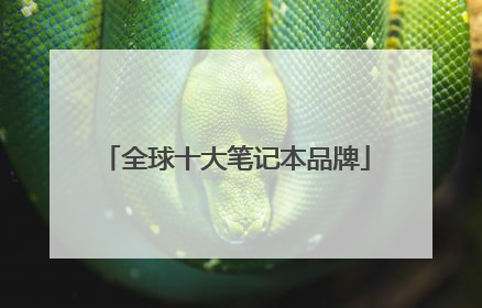 全球十大笔记本品牌