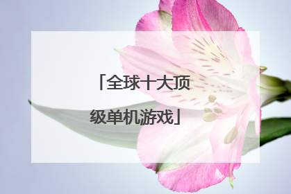 全球十大顶级单机游戏