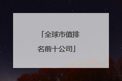 全球市值排名前十公司