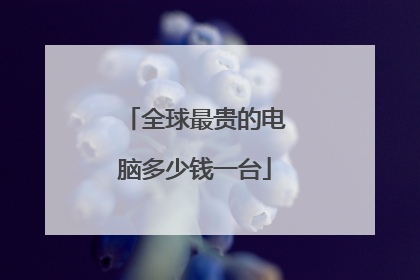 全球最贵的电脑多少钱一台