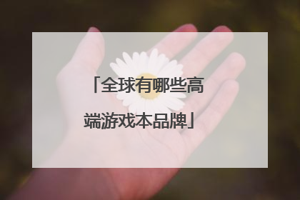 全球有哪些高端游戏本品牌