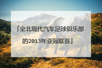 全北现代汽车足球俱乐部的2013年亚冠联赛