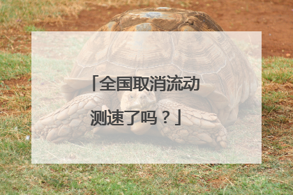 全国取消流动测速了吗？