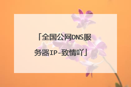 全国公网DNS服务器IP-致情吖