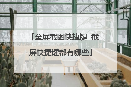 全屏截图快捷键 截屏快捷键都有哪些