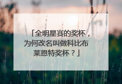 全明星赛的奖杯，为何改名叫做科比布莱恩特奖杯？