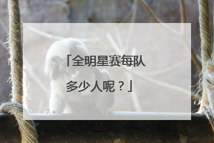 全明星赛每队多少人呢？