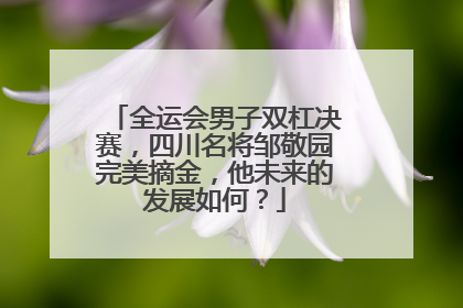 全运会男子双杠决赛，四川名将邹敬园完美摘金，他未来的发展如何？